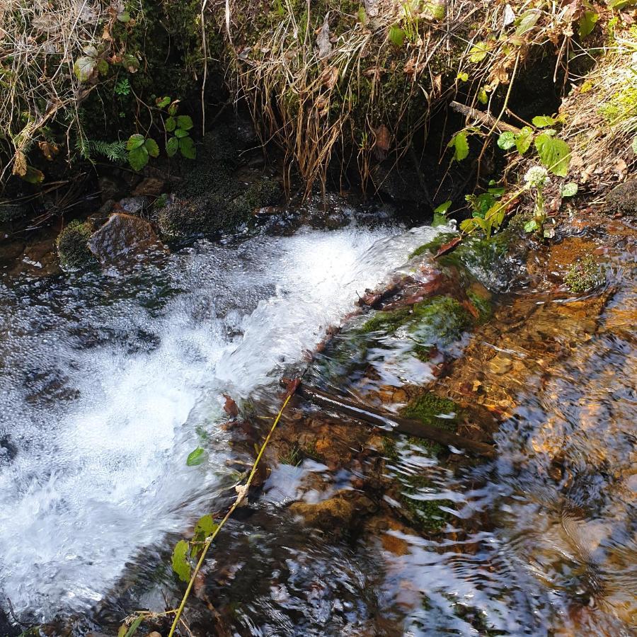 Goralska Wojtasowka Bauernhof