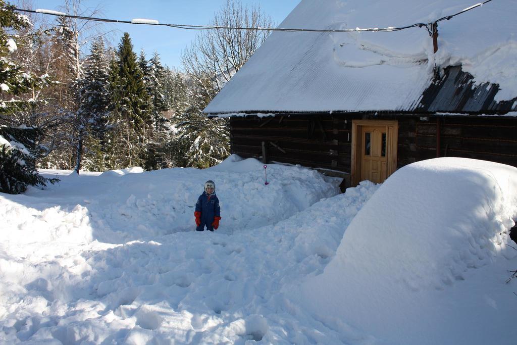 Bauernhof Goralska Wojtasowka Kamesznica