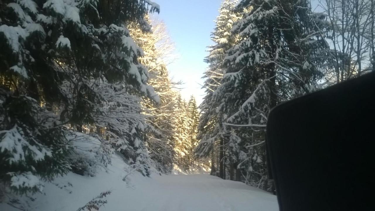 Goralska Wojtasowka Alloggio per agriturismo Kamesznica